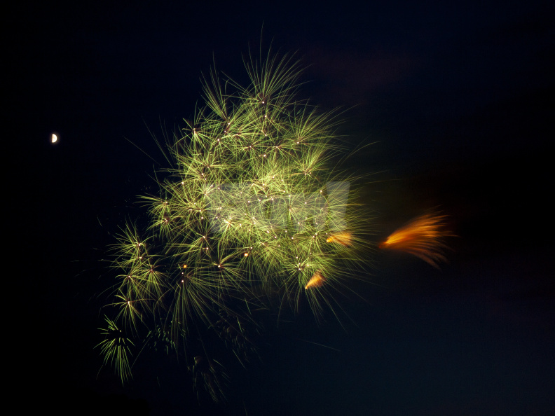 E-M5 RAW 000700