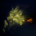 E-M5 RAW 000700