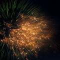 E-M5 RAW 000704