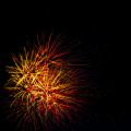 E-M5 RAW 000707