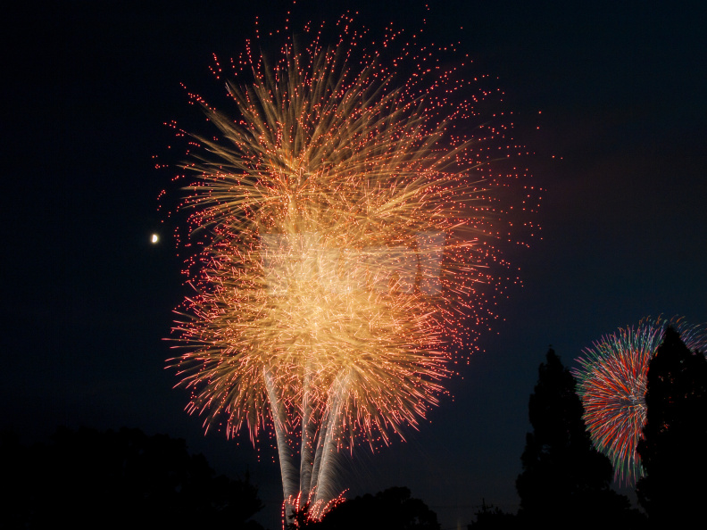 E-M5 RAW 000711