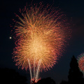 E-M5 RAW 000711