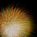 E-M5 RAW 000734