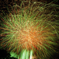 E-M5 RAW 000737
