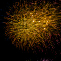 E-M5 RAW 000739