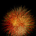 E-M5 RAW 000740