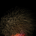 E-M5 RAW 000741
