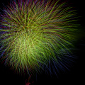 E-M5 RAW 000760
