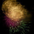E-M5 RAW 000761
