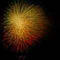 E-M5 RAW 000763