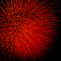 E-M5 RAW 000772