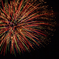 E-M5 RAW 000775