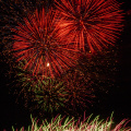 E-M5 RAW 000777