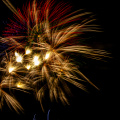 E-M5 RAW 000789