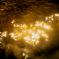 E-M5 RAW 000792