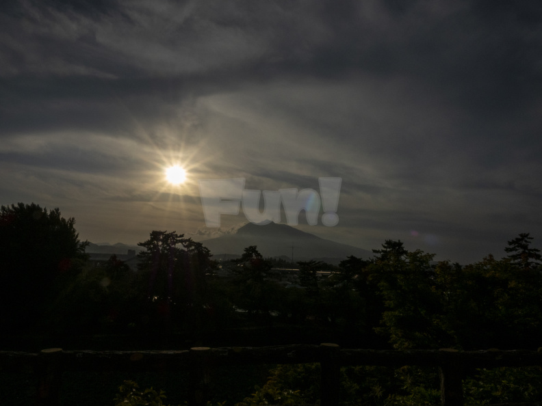 E-M5 RAW 000876