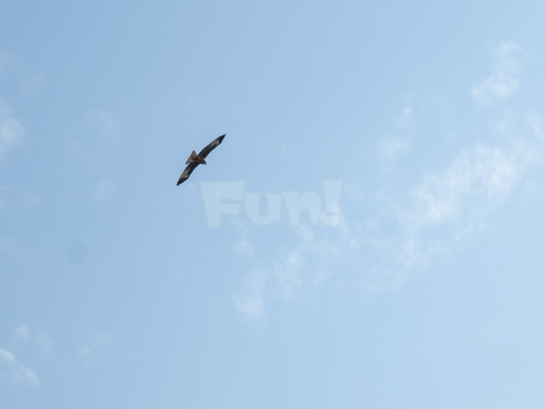 E3 RAW 00013148