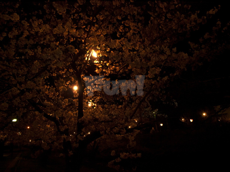 E3 RAW 00006780