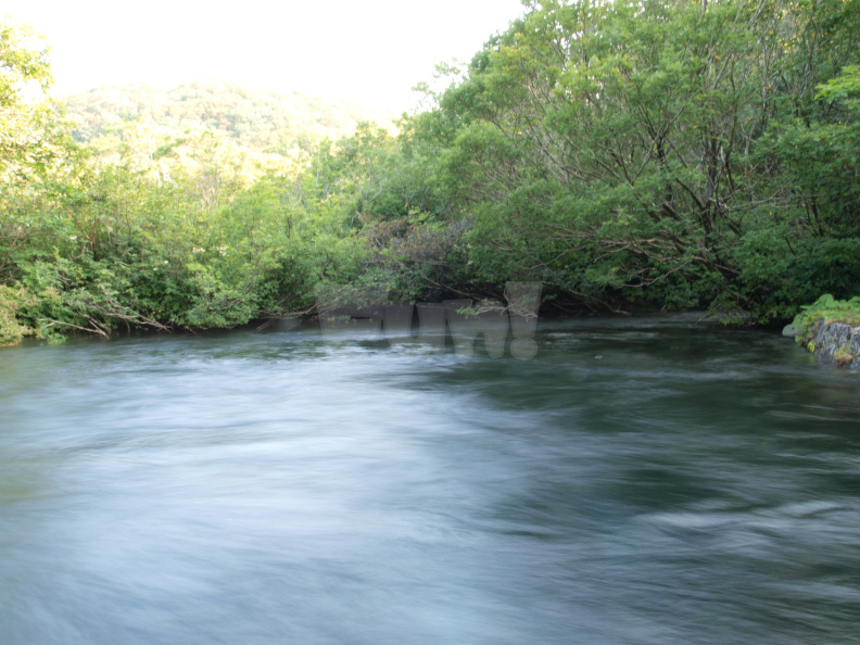 E420 00001264