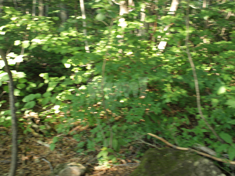 E420 00001298