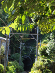 E420 00002684