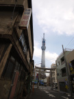 E420 00004594