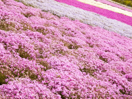 E3 JPG 00000042 edit