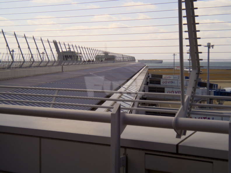 E-M5 RAW 000139