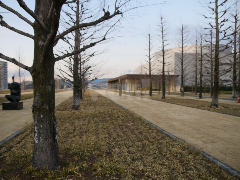 E-M5 RAW 000226
