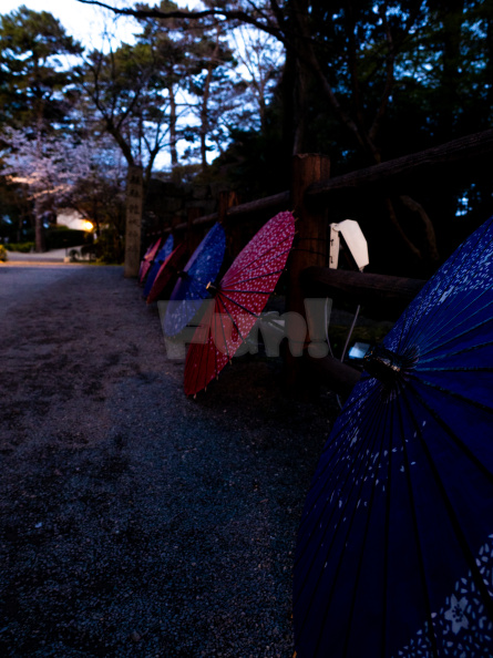 E-M5_RAW_373.jpeg