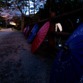 E-M5 RAW 373