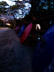 E-M5 RAW 373