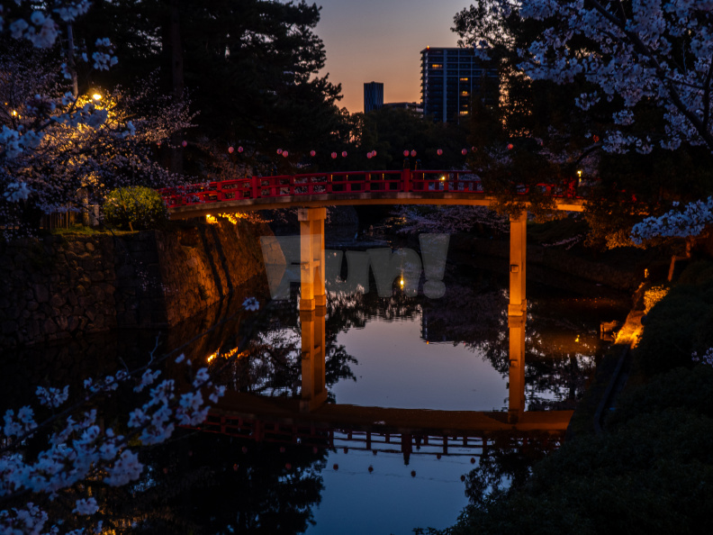 E-M5_RAW_362.jpeg