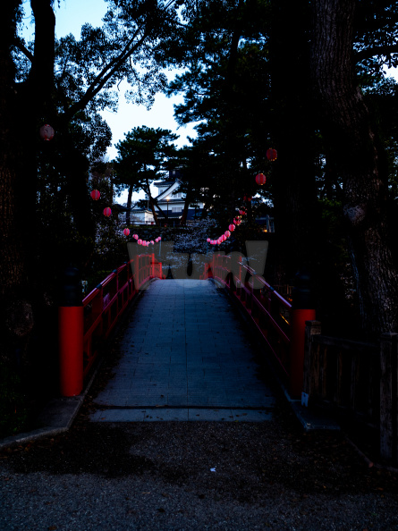 E-M5_RAW_382.jpeg