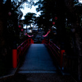 E-M5 RAW 382