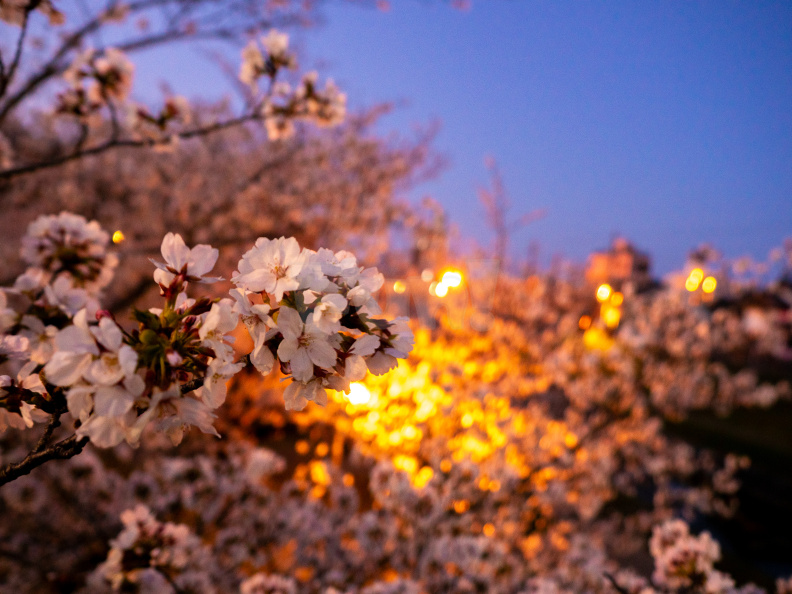 E-M5_RAW_351.jpeg