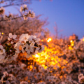 E-M5 RAW 351