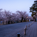 E-M5 RAW 385