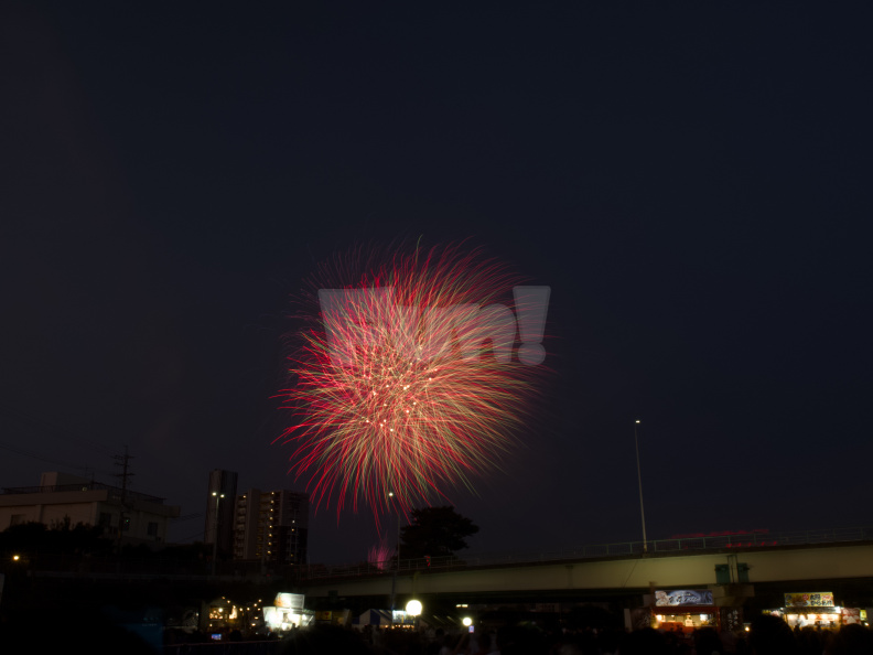 OM-1 RAW 000775