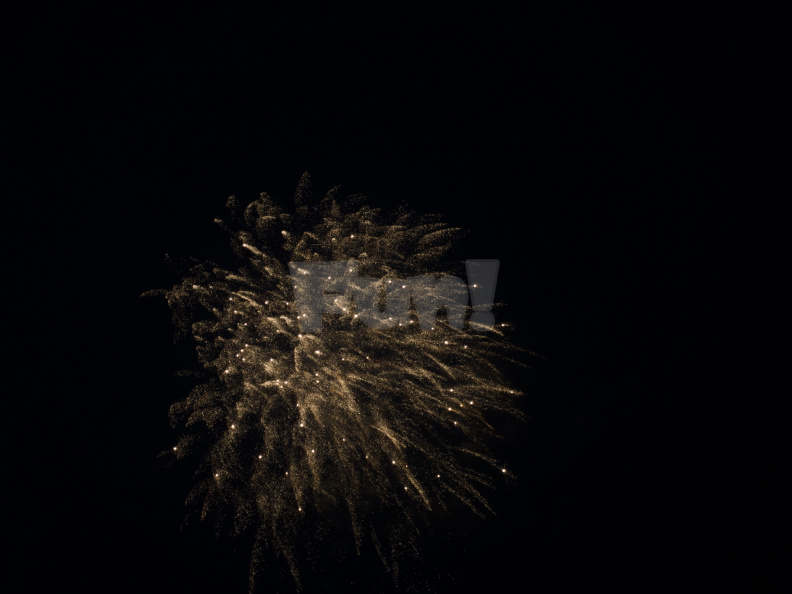 OM-1 RAW 000777