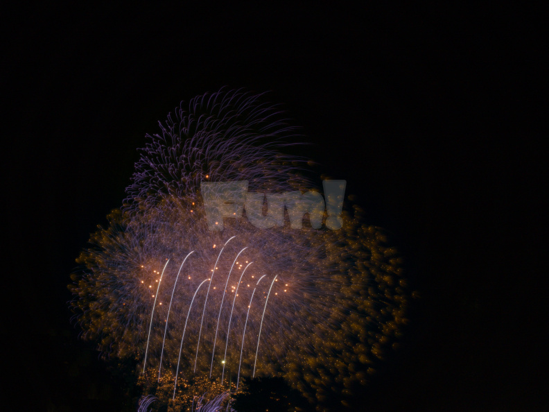 OM-1 RAW 000829